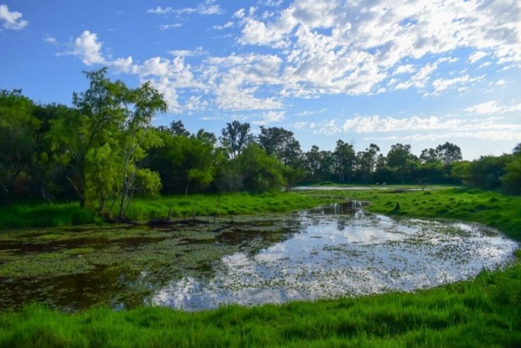 Nuevo área natural protegida en Villaguay