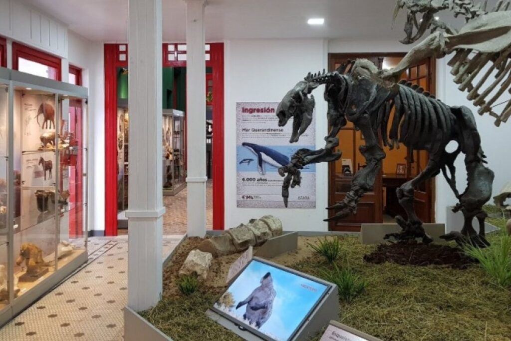 Gualeguaychú-Noche-Museos