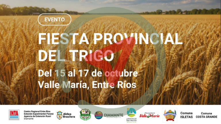 I Fiesta Provincial del Trigo – Valle María