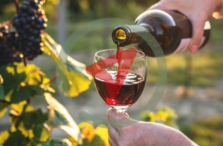 Paraná será sede de las VI Jornadas Nacionales de Turismo del Vino